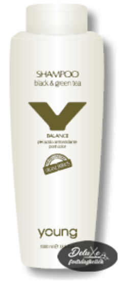 Young - Balance - Sampon festett hajra zöld és fekete tea kivonattal 1000 ml képe