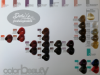 Beauty Long Evolution hajfesték 100 ml - Mixton színek képe