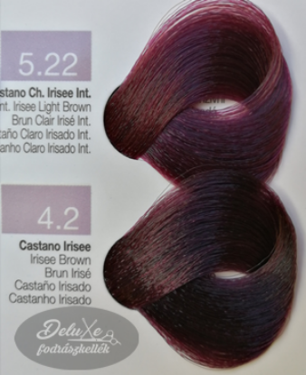 Kép Beauty Long Evolution hajfesték 100 ml - Viola színek