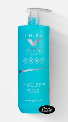 Kép Young - Y-Force azonnali regeneráló anti-age sampon hialuronsavval és növényi kollagénnel 1000 ml