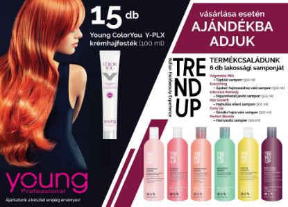 Kép AKCIÓ - 15 db Young hajfestékhez AJÁNDÉK  6 féle Trend Up  300 ml sampon